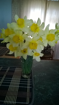 WP_20170413_001.jpg