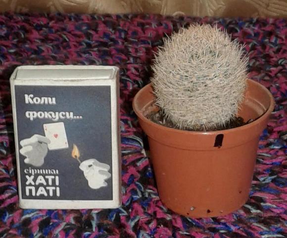image (12).jpg