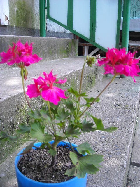 sgnmoPe3FIs.jpg