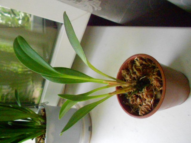DSCN7160.JPG