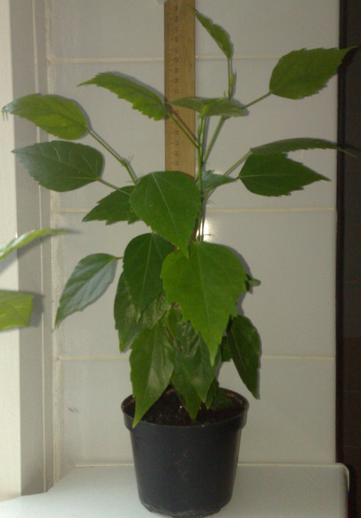 300820121326.jpg