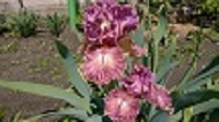 WP_20170530_053.jpg
