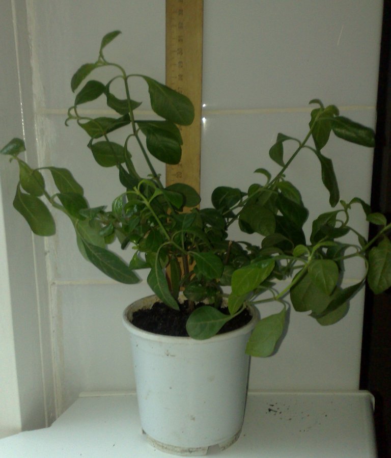 300820121330.jpg