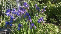 WP_20170530_070.jpg