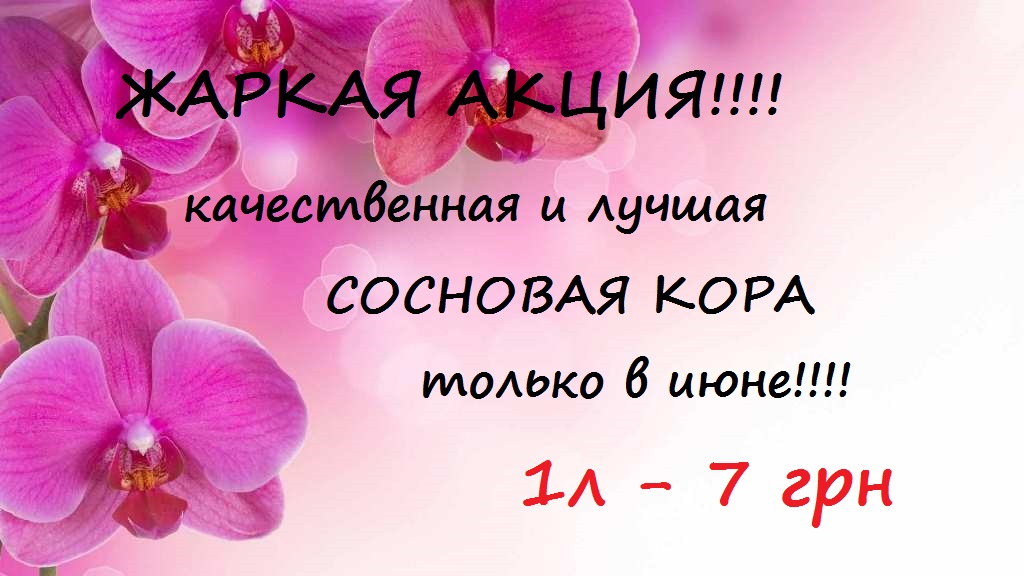 РРРРРРРРРРРРРРРРРРРРРРРРРРРР.jpg