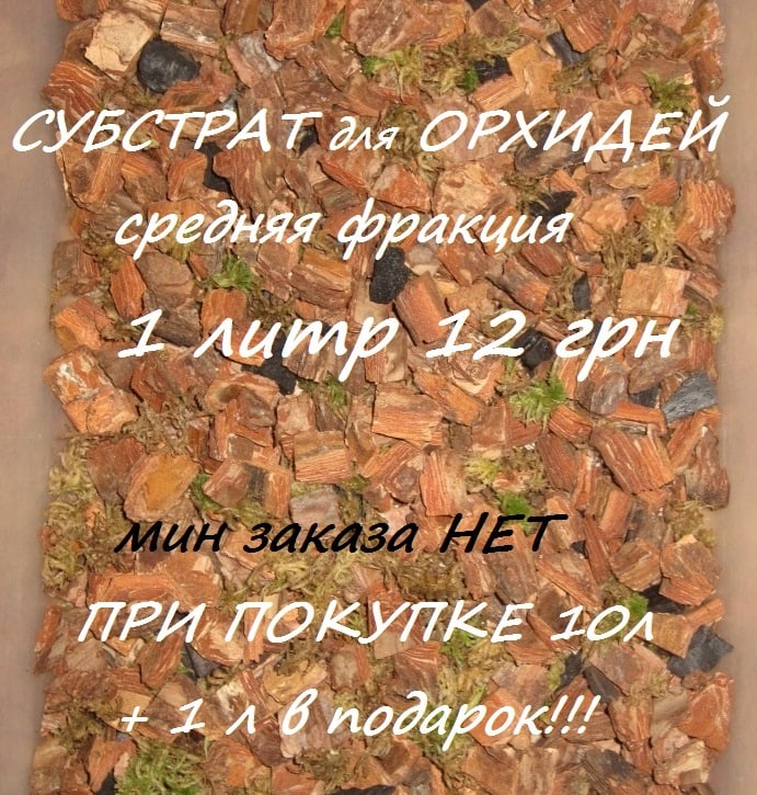111-min-2.jpg
