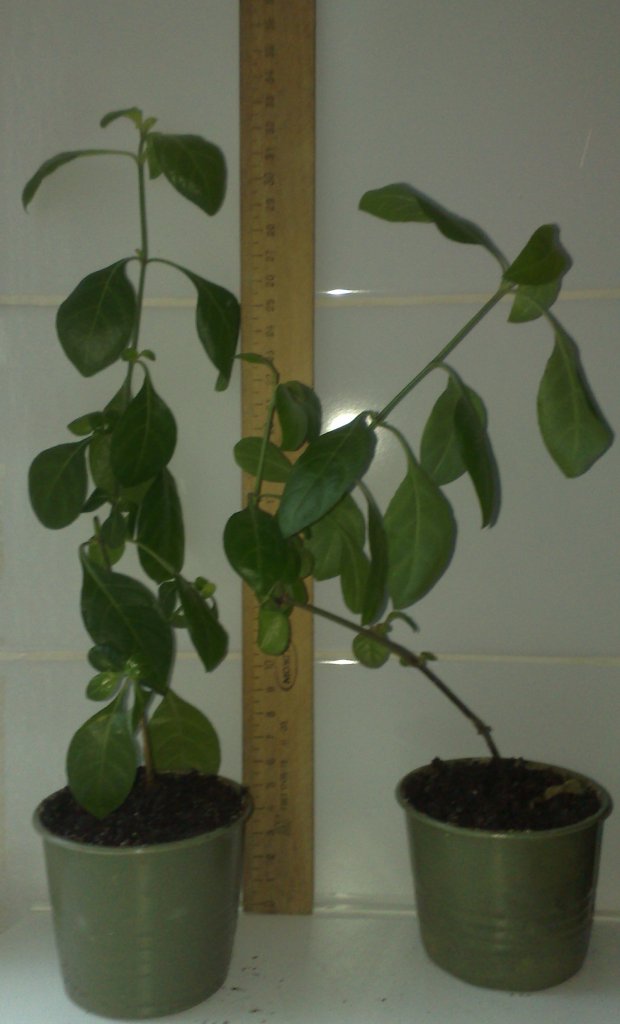300820121327.jpg