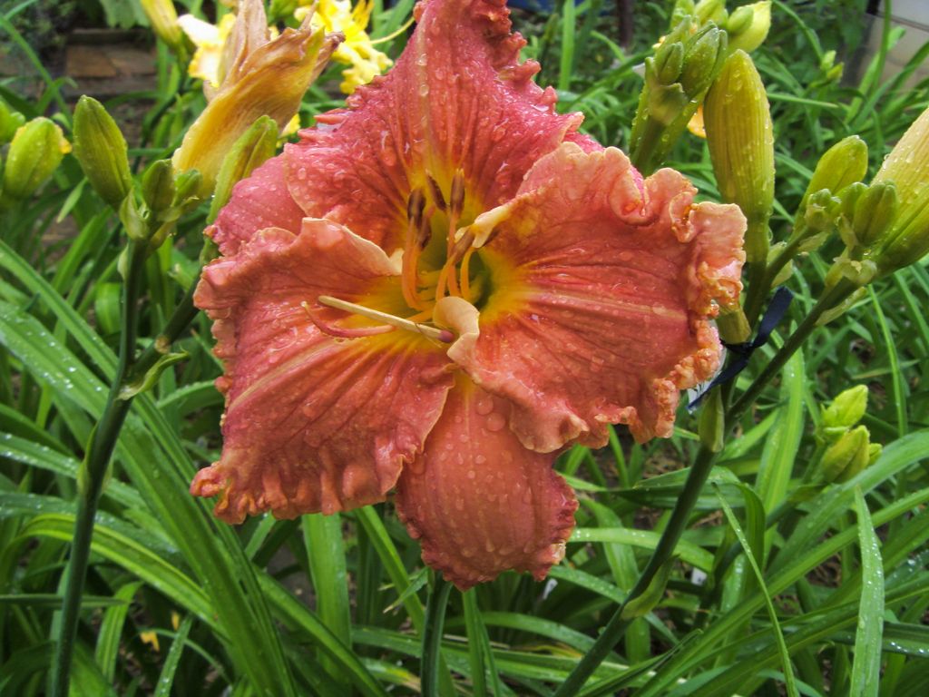 S73F8728.JPG