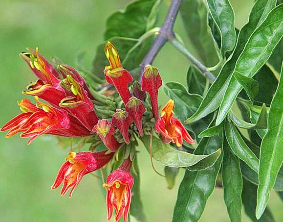 50157_0.jpg