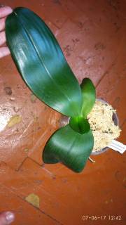 IMG_20170607_124220_180x320.jpg