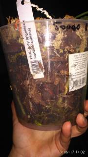 IMG_20170613_140223_180x320.jpg