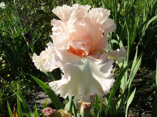 PICT2318.JPG