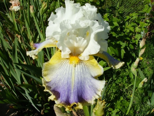 PICT2358.JPG