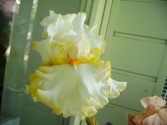 PICT2452.JPG