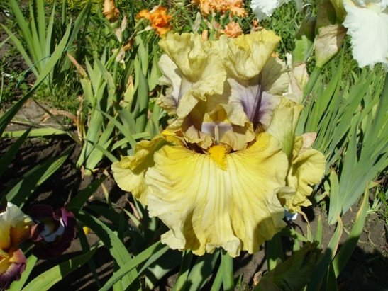 PICT2371.JPG