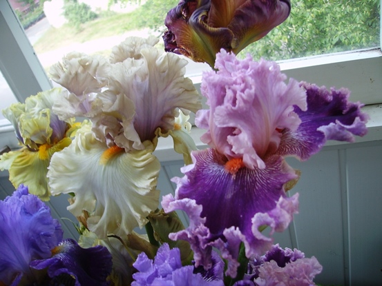 PICT2495.JPG
