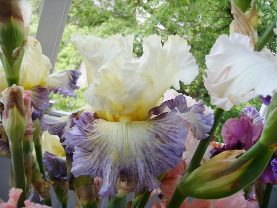 PICT2498.JPG