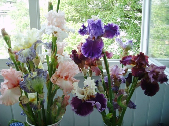 PICT2501.JPG