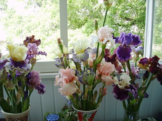 PICT2503.JPG