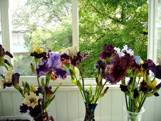 PICT2301.JPG