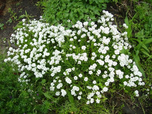 PICT9848.JPG