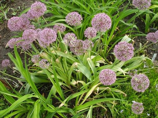 PICT9904.JPG