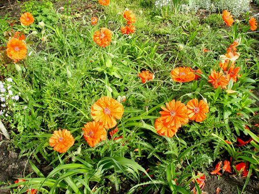 PICT9882.JPG