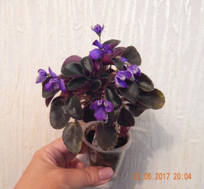DSCN7852.JPG