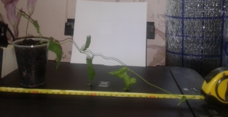 20170629_122641.jpg
