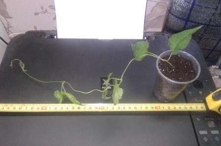 20170629_122726.jpg