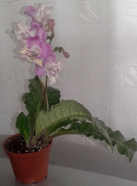 20170617_132635.jpg
