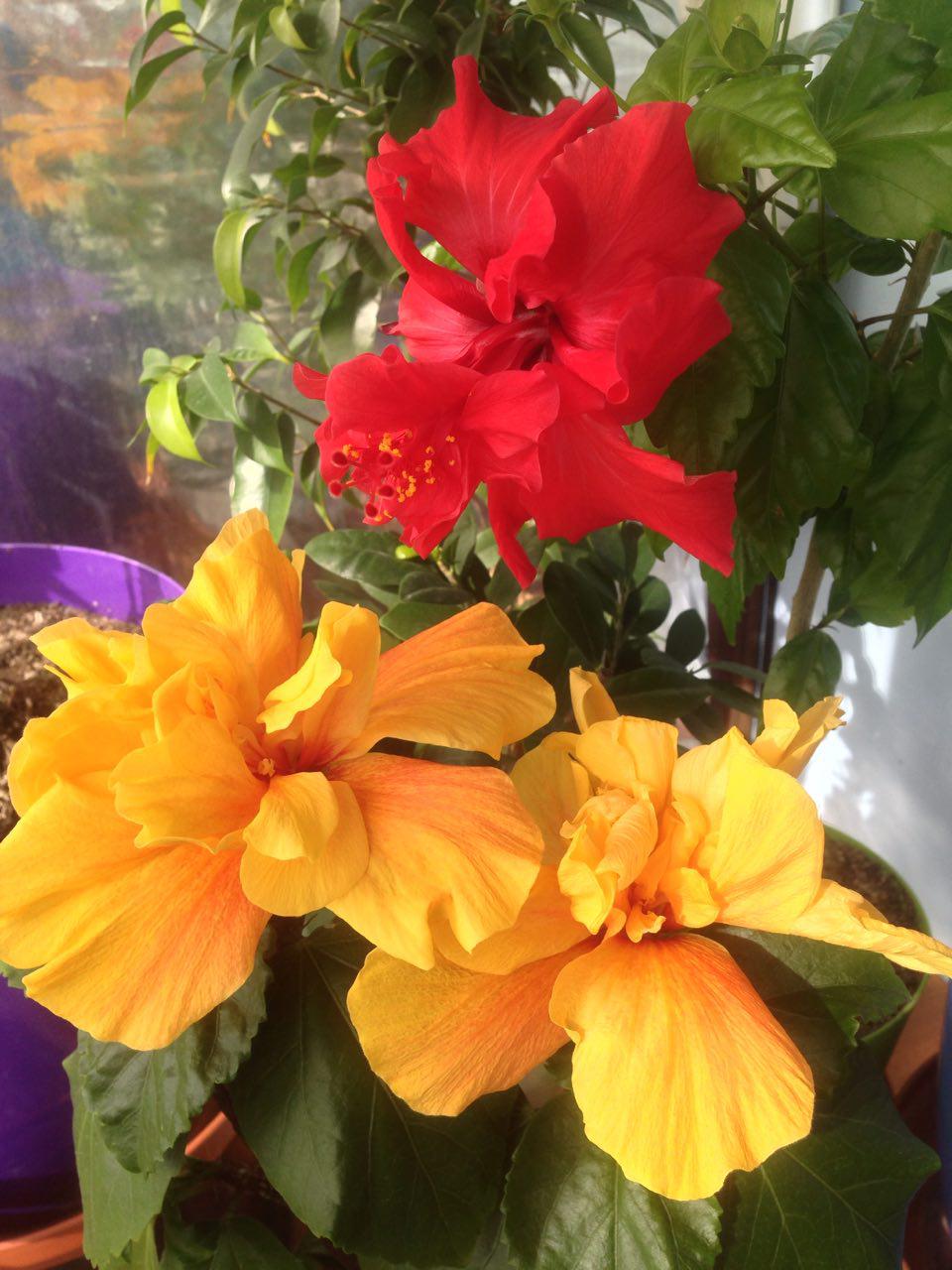 photo 2017-07-03.jpg