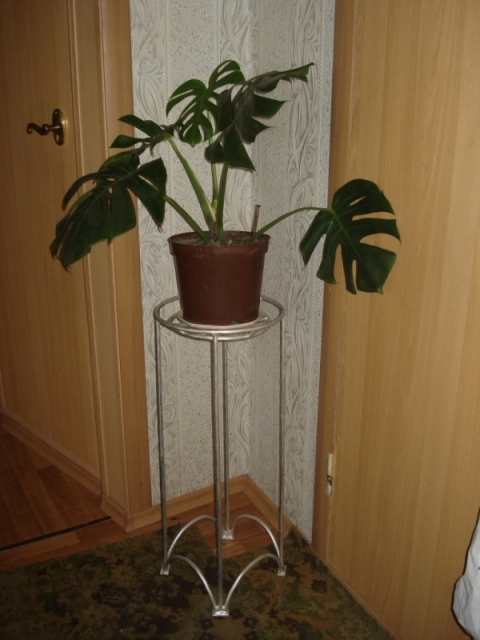 DSC09905.JPG
