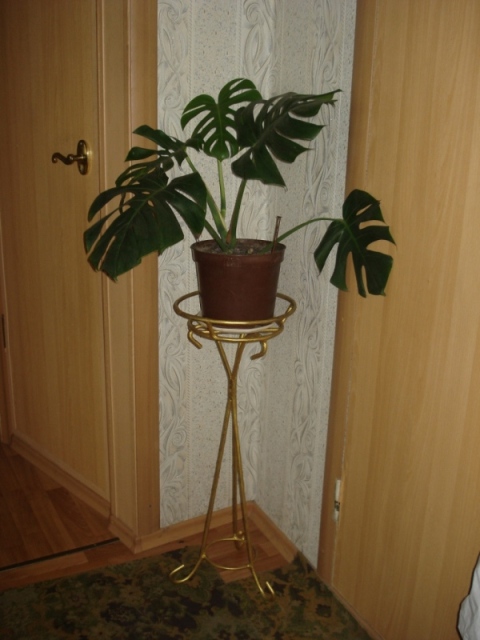 DSC09901.JPG