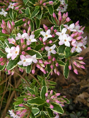 00907-80.jpg