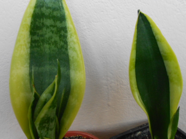 DSCN1023.JPG