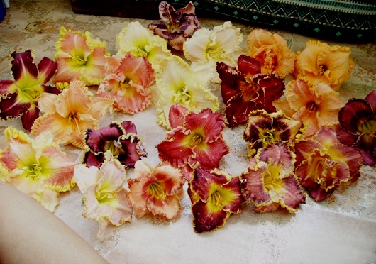 PICT4066м.jpg