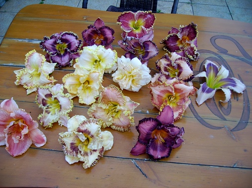 PICT3089м.jpg