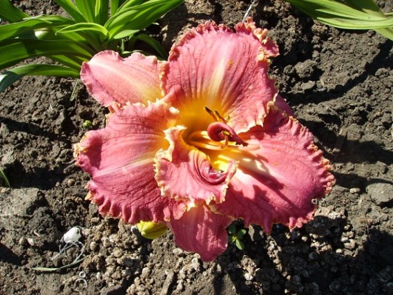 PICT3820м.jpg