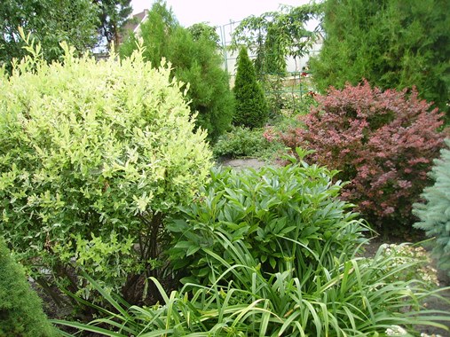 PICT2971м.jpg