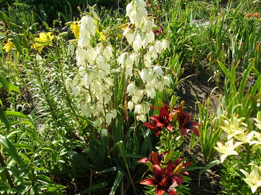 PICT2823м.jpg