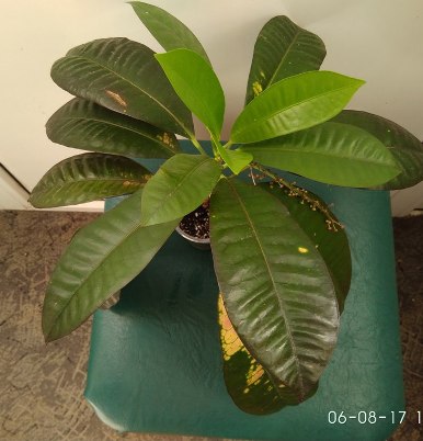 IMG_20170806_163037.jpg