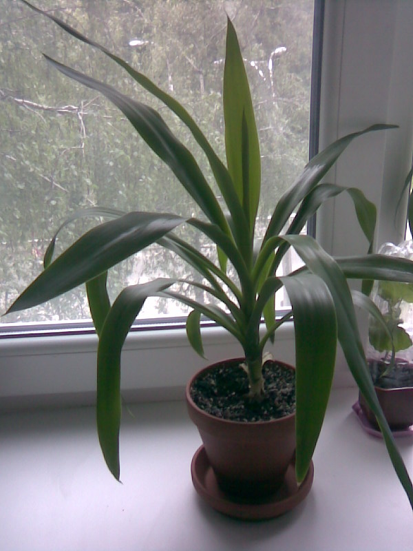 Image020.jpg