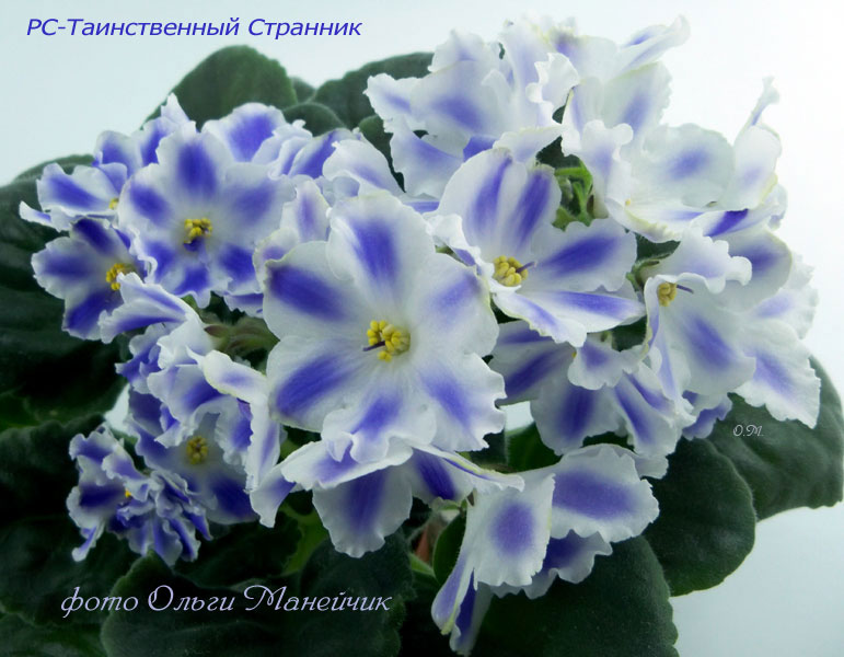 91РС-Таинственный-Странник-б1.jpg