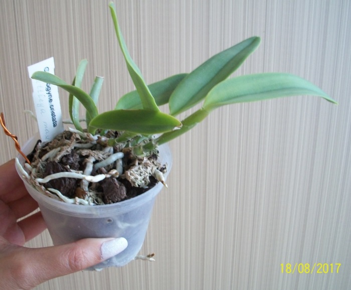 100_7585.JPG