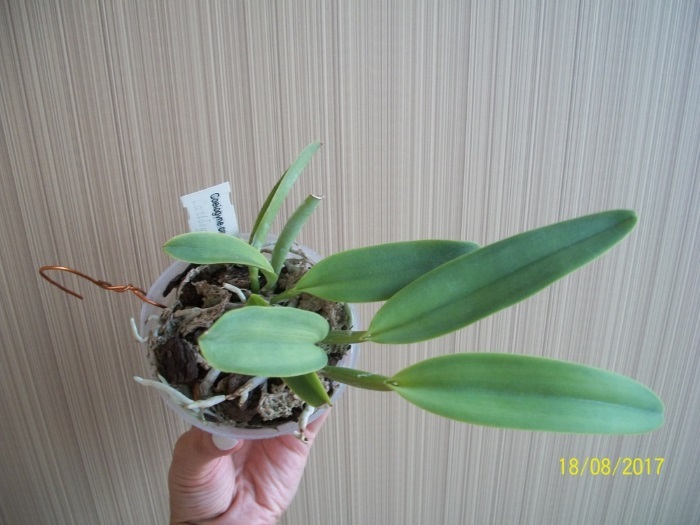 100_7587.JPG