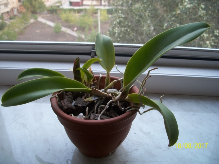 100_7596.JPG