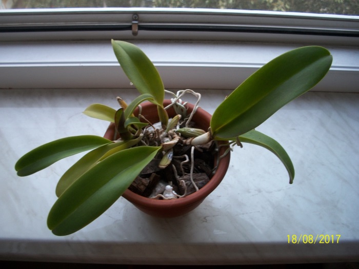 100_7595.JPG