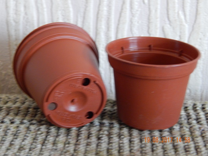 DSCN8073.JPG