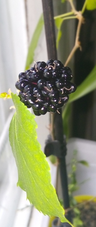 20170316_080714.jpg